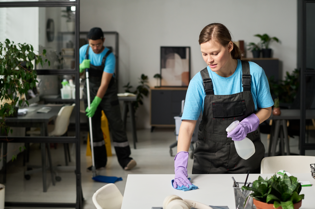 Organic Green Clean DFW Our Cleaning Services
